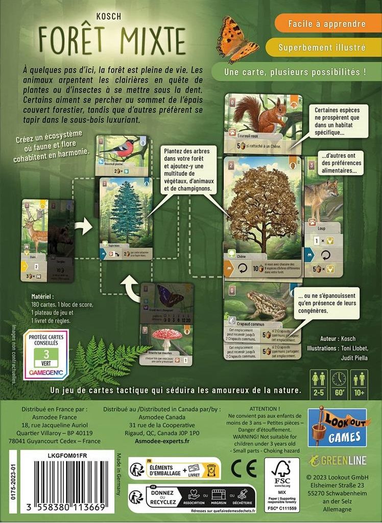 Vue générale du matériel et des cartes de Forêt mixte.
