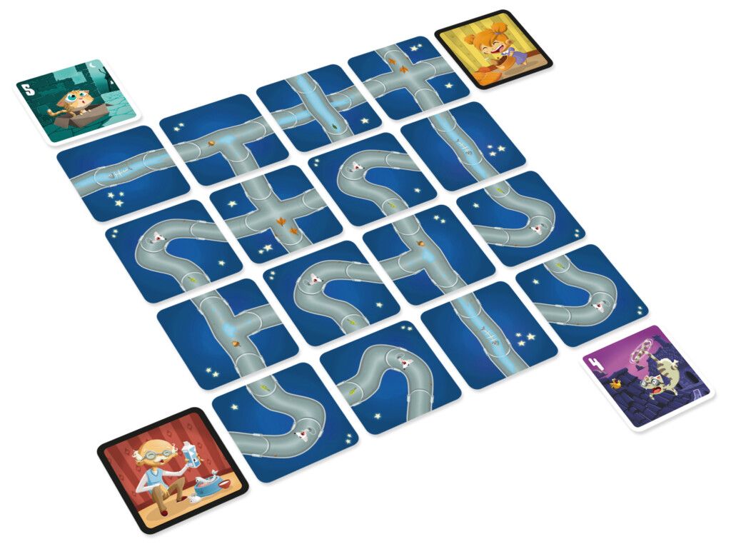 Vue générale du matériel et des cartes du jeu Chabyrinthe.