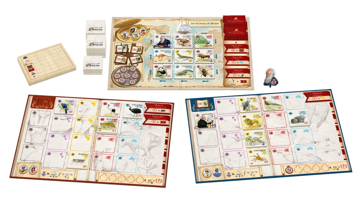 Détail des tuiles animaux de Sur les traces de Darwin.