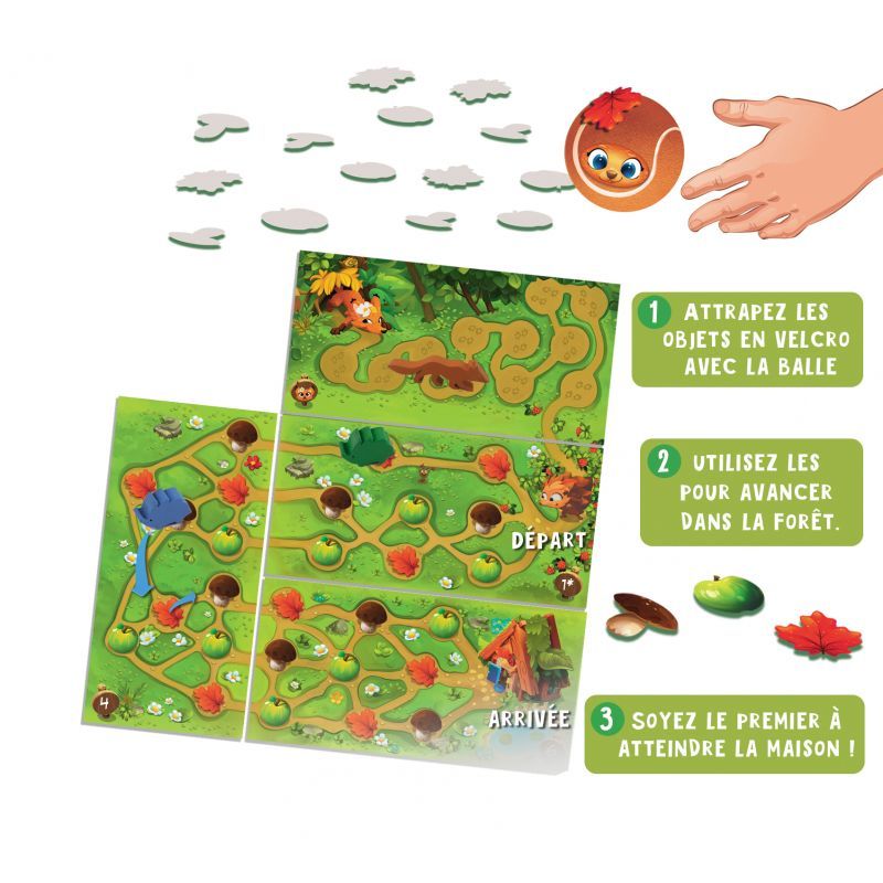 Vue générale du plateau et du matériel du jeu Roulapik.