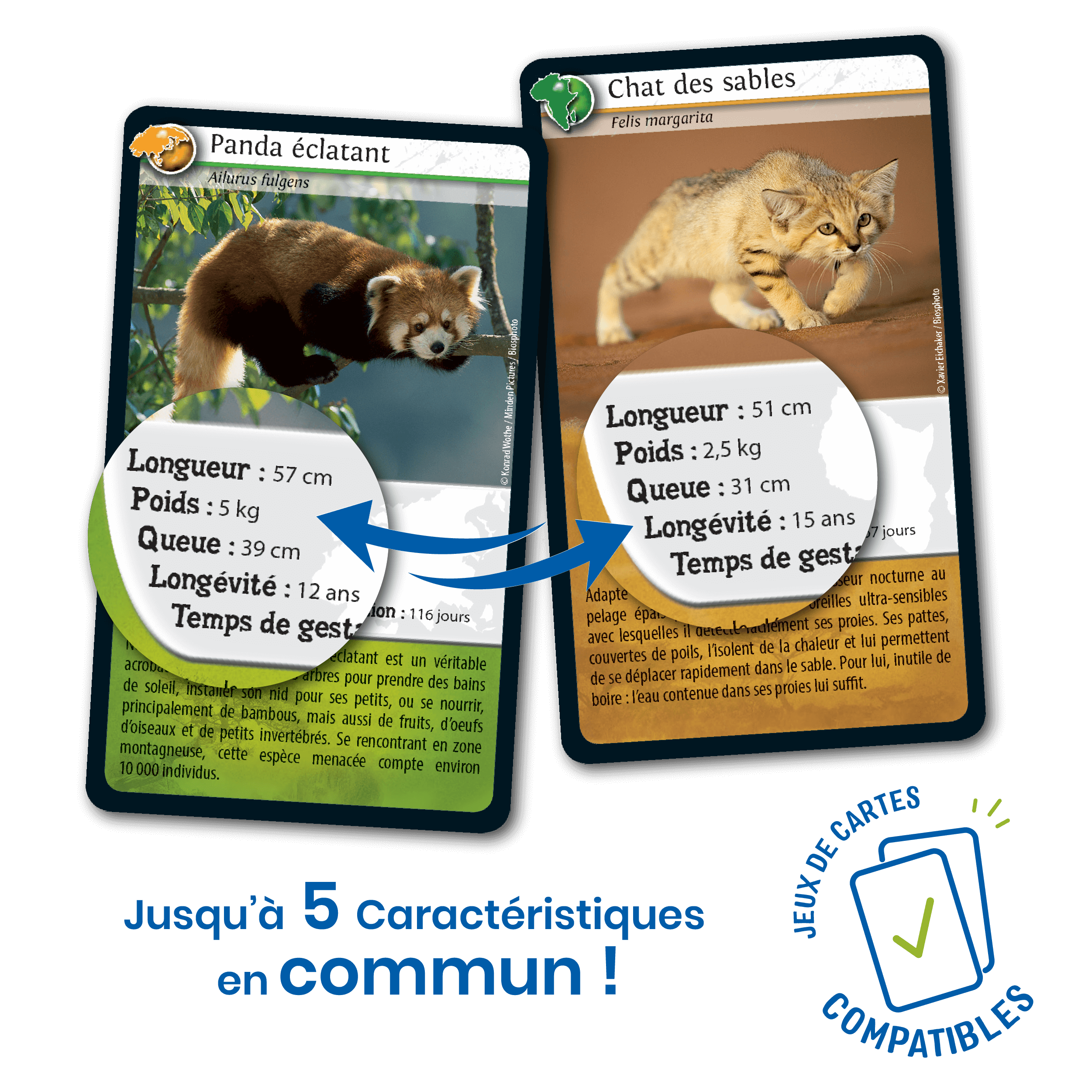 Gros plan sur les caractéristiques des animaux des cartes Défis Nature.